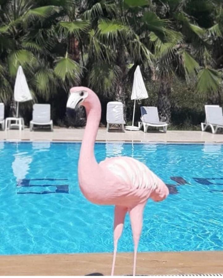Skys Beach Hotel มานาฟกัท ภายนอก รูปภาพ